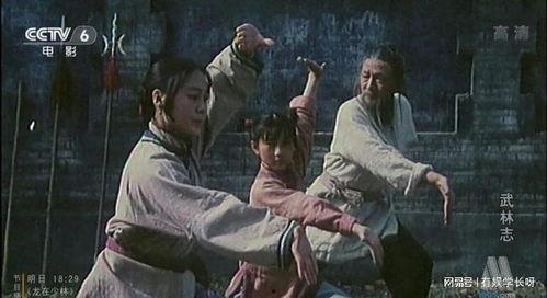 国产老电影武打片